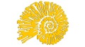 naklejka-amonit-zolta.jpg