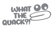 naklejka-what-the-quack-szara.jpg