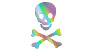 naklejka-czaszka-kosci-holograficzna.jpg