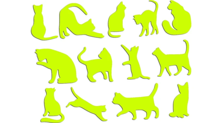 naklejki-koty-13-sztuk-zolte-neon.jpg