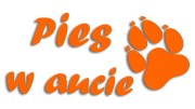 naklejka pies w aucie pomaranczowa neon.jpg
