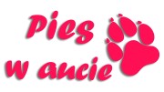 naklejka pies w aucie rozowa neon.jpg