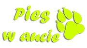 naklejka pies w aucie zolta neon.jpg
