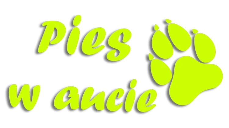 naklejka pies w aucie zolta neon.jpg
