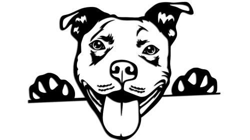 naklejka-pitbull-3.jpg
