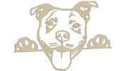 naklejka-pitbull-3-bezowa.jpg