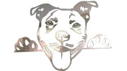 naklejka-pitbull-3-chrom.jpg