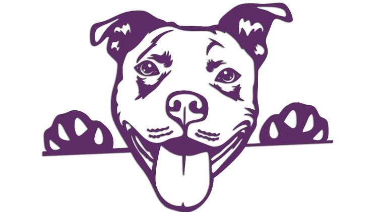 naklejka-pitbull-3-fioletowa.jpg