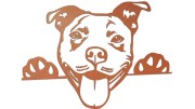 naklejka-pitbull-3-miedziana.jpg