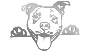 naklejka-pitbull-3-srebrna.jpg