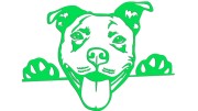 naklejka-pitbull-3-zielona-neon.jpg