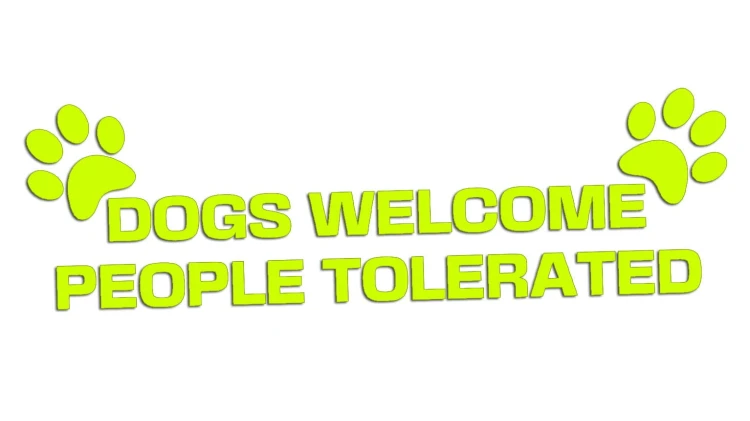 naklejka-dogs-welcome-people-tolerated-zolta-neon.jpg