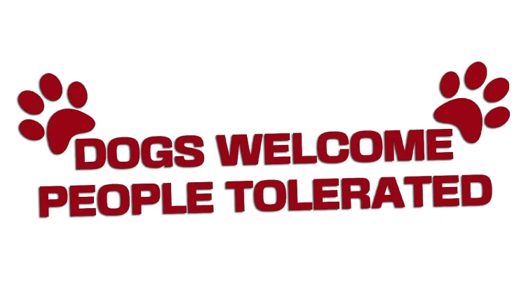 naklejka-dogs-welcome-people-tolerated-bordowa.jpg