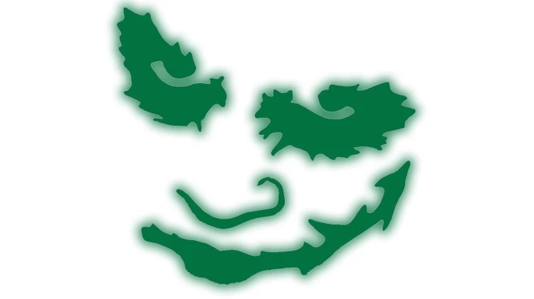 naklejka-joker-zielony-odblask.jpg