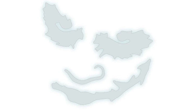 naklejka-joker-bialy-odblask.jpg