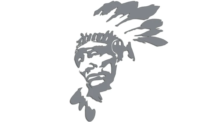 naklejka-indianin-szara.jpg