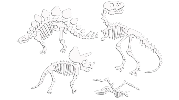 naklejki-skamieliny-dinozaury-szkielet-biale.jpg