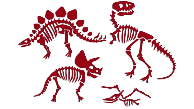 naklejki-skamieliny-dinozaury-szkielet-bordowe.jpg