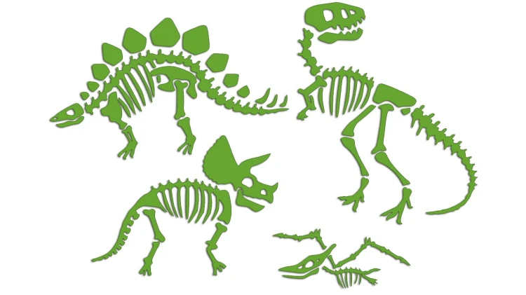 naklejki-skamieliny-dinozaury-szkielet-jasny-zielony.jpg
