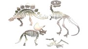 naklejki-skamieliny-dinozaury-szkielet-chrom.jpg
