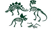 naklejki-skamieliny-dinozaury-szkielet-ciemny+zielony.jpg