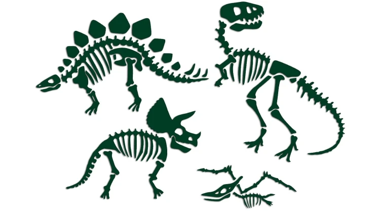 naklejki-skamieliny-dinozaury-szkielet-ciemny+zielony.jpg