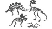 naklejki-skamieliny-dinozaury-szkielet-grafitowe.jpg
