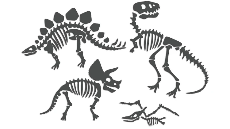 naklejki-skamieliny-dinozaury-szkielet-grafitowe.jpg