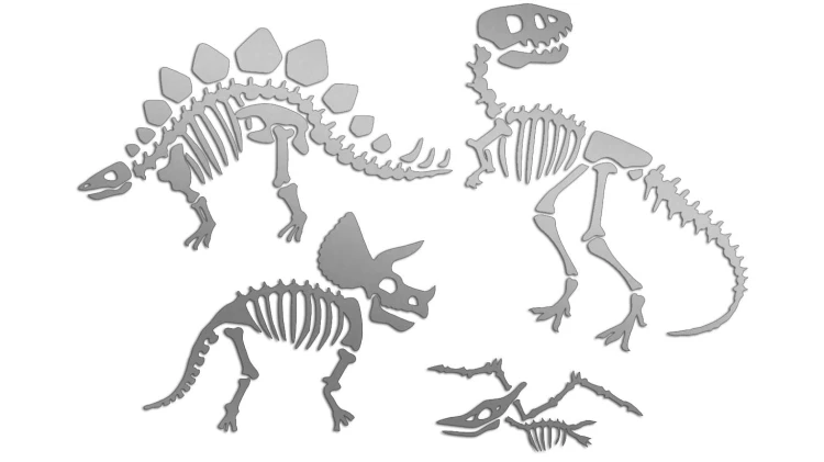 naklejki-skamieliny-dinozaury-szkielet-srebrne.jpg