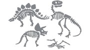 naklejki-skamieliny-dinozaury-szkielet-szare.jpg