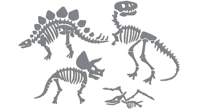 naklejki-skamieliny-dinozaury-szkielet-szare.jpg