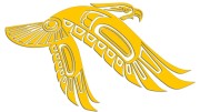 naklejka-orzel-w-locie-zolta.jpg