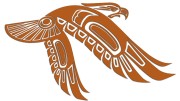 naklejka-orzel-w-locie-brazowa.jpg