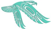 naklejka-orzel-w-locie-mietowa.jpg