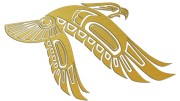 naklejka-orzel-w-locie-zlota.jpg