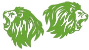 naklejki-lew-lewa-prawa-3-jasny-zielony.jpg