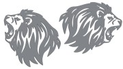 naklejki-lew-lewa-prawa-3-szare.jpg