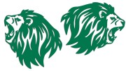naklejki-lew-lewa-prawa-3-zielone.jpg