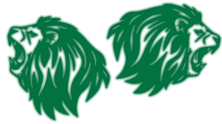 naklejki-lew-lewa-prawa-3-zielony-odblask.jpg