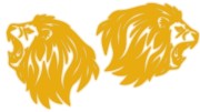 naklejki-lew-lewa-prawa-3-zolty-odblask.jpg