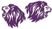 naklejki-lew-lewa-prawa-3-fioletowe.jpg