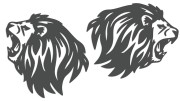 naklejki-lew-lewa-prawa-3-grafitowe.jpg