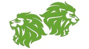naklejki-lew-lewa-prawa-2-jasny-zielony.jpg