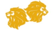 naklejki-lew-lewa-prawa-2-zolty-odblask.jpg
