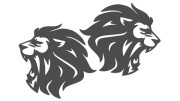 naklejki-lew-lewa-prawa-2-grafitowe.jpg