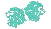 naklejki-lew-lewa-prawa-2-mietowe.jpg