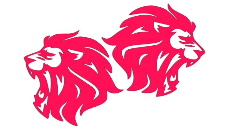 naklejki-lew-lewa-prawa-2-rozowe-neon.jpg