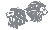 naklejki-lew-lewa-prawa-2-szare.jpg