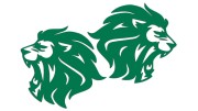 naklejki-lew-lewa-prawa-2-zielone.jpg