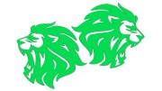naklejki-lew-lewa-prawa-2-zielone-neon.jpg